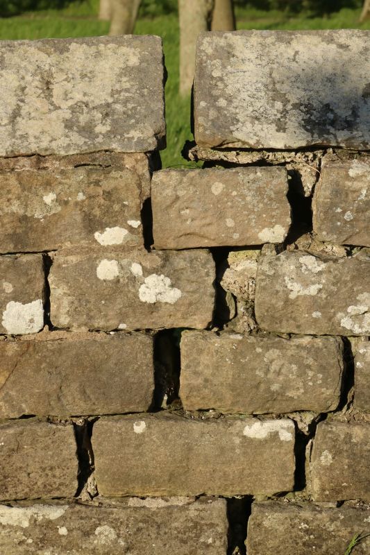 Stone Wall Repair in Grain Valley, MO